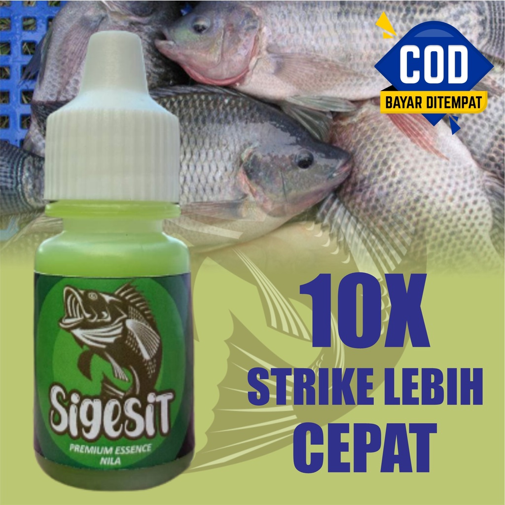 Essen Ikan Nila, essen ikan nila media lumut, essen ikan nila media pelet, essen ikan nila babon, es