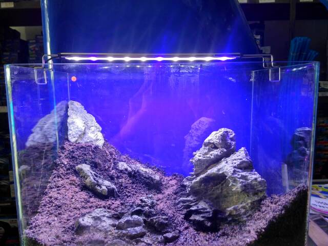 LAMPU LED AQUARIUM AQUASCAPE RECENT RCX 500