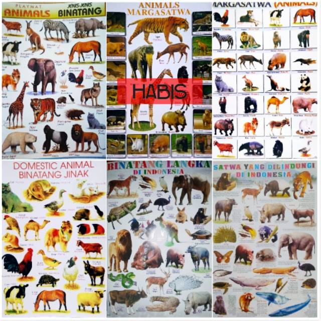 Murah Poster Edukasi Abjad Angka Hewan Matematika Aneka Tema Part