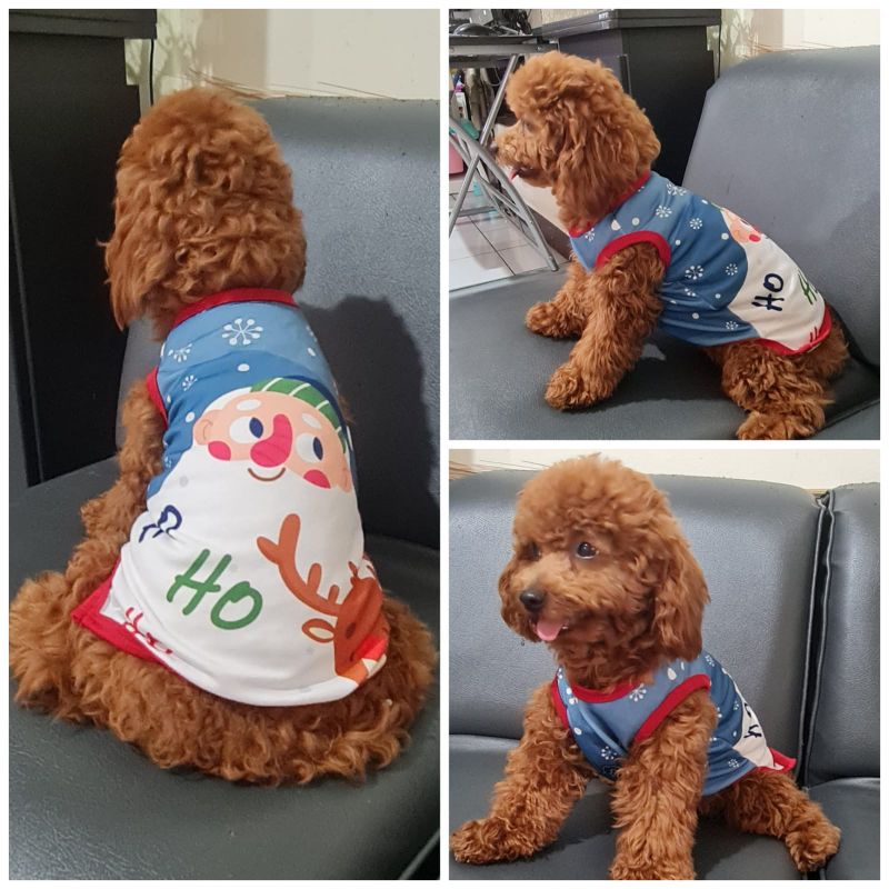 Baju Kaos Doggie Tema Natal Christmas Winter