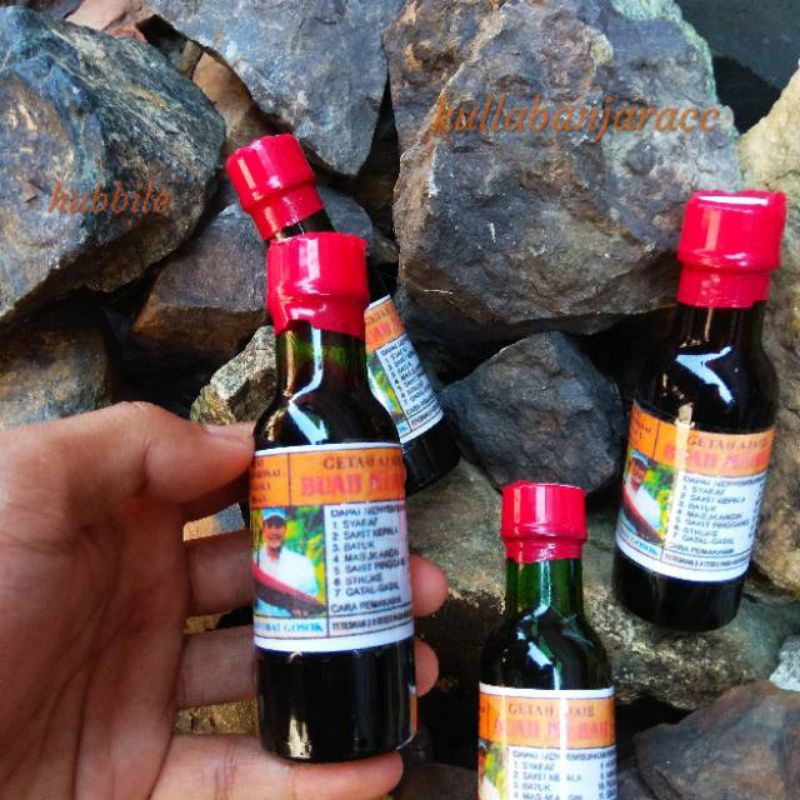 GETAH AJAIB BUAH MERAH obat tradisional kahs papua