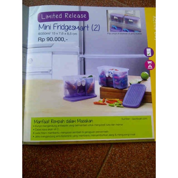 mini fridgesmart tupperware (2)
