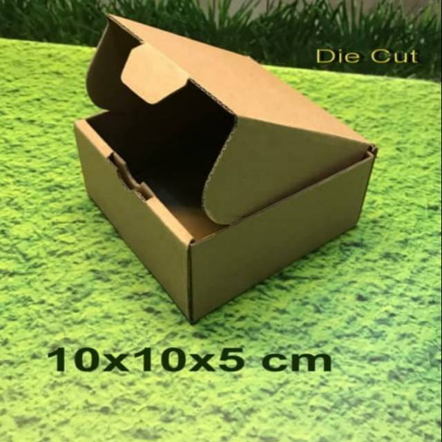 

kardus box pizza 10x10x5