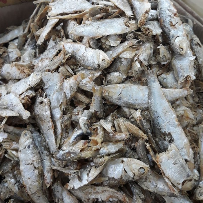 

IkanSampah
