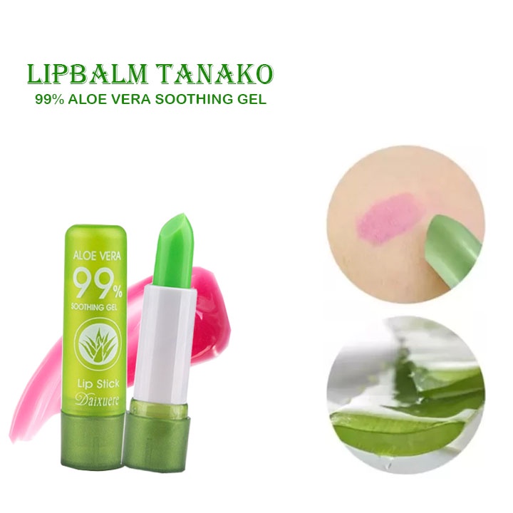 Beauty Jaya - Lipbalm Tanako Pelembab Bibir Aloe Vera 99% - LIPSTIK ALOEVERA Lip Gloss