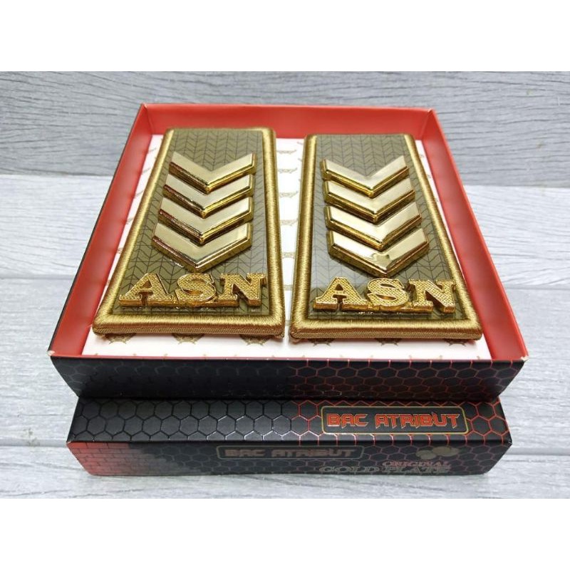 pangkat asn sumsel 2D