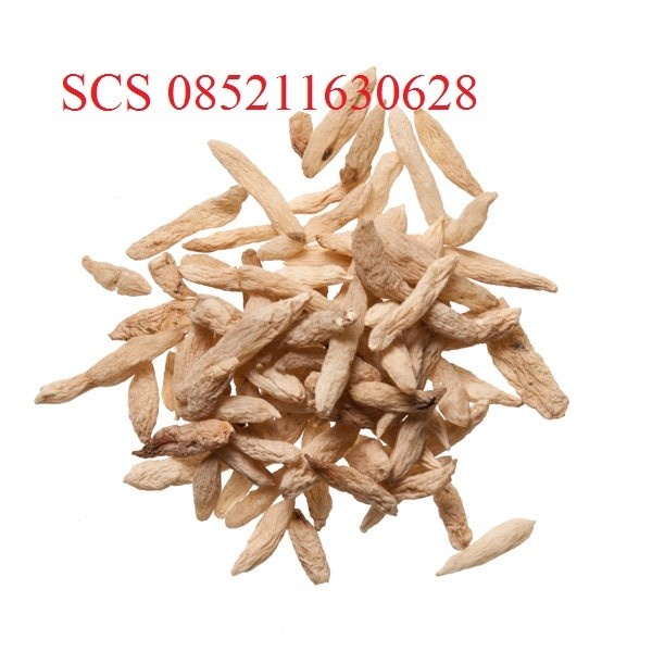 

Mai Dong / Mai Men Dong / Ma Tung / Mak tung Tuber Ophiopogonis Jap