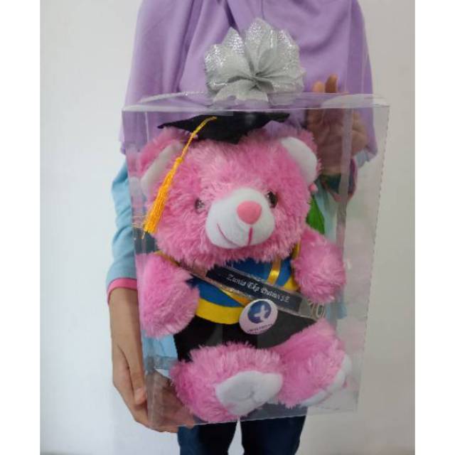 BONEKA WISUDA TEDDY BEAR 30CM + SELEMPANG