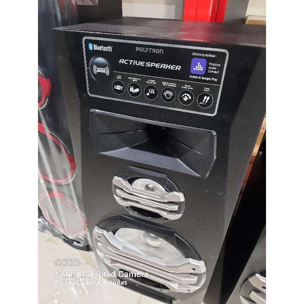 Spiker Aktif Polytron PAS 2A15