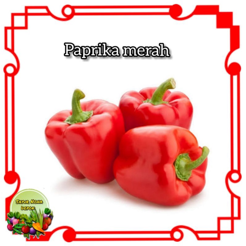 

paprika merah fresh