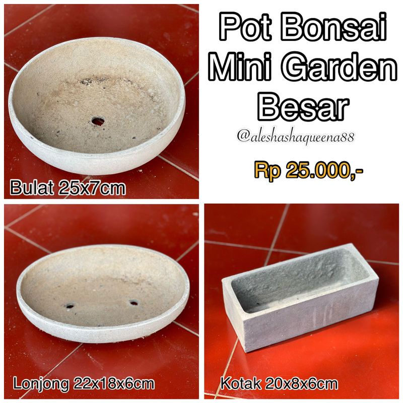 Pot Bonsai Mini Garden Besar