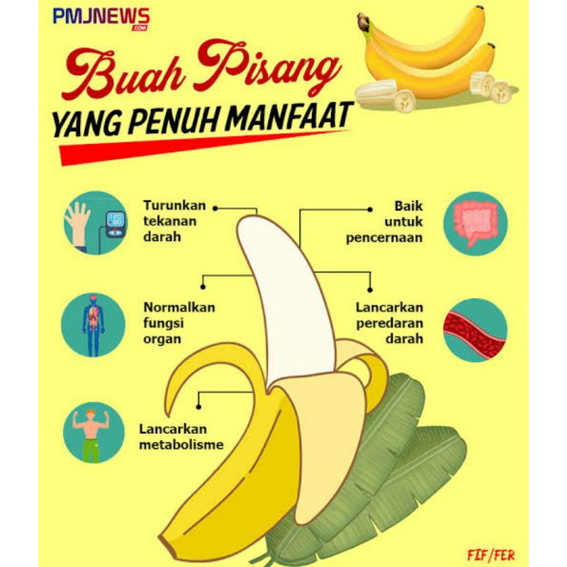 

Buah Pisang Sunpride (Banana) Segar Fresh Murah