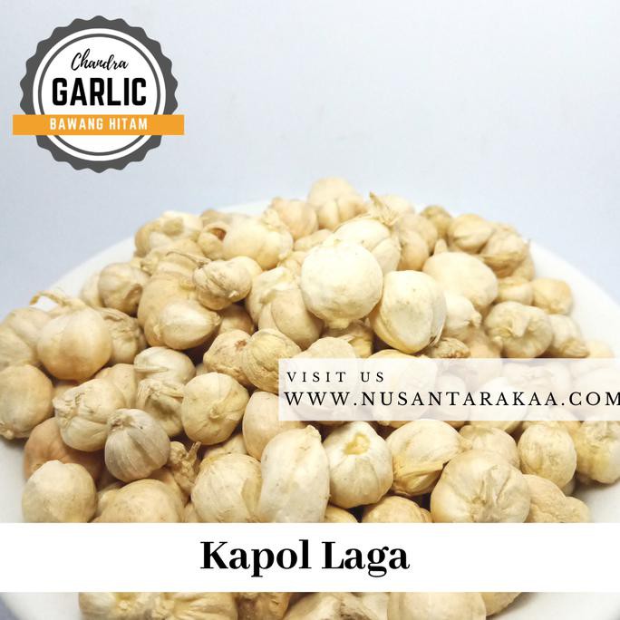 

Kapulaga / Kapolaga 100 Gr