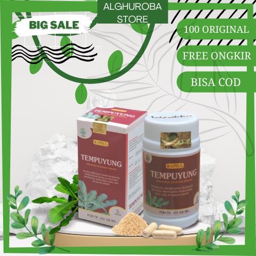 Obat batu ginjal | Kapsul Herbal TEMPUYUNG Tazakka isi 60 Kaps | Obat Peradangan yang BPOM ORIGINAL