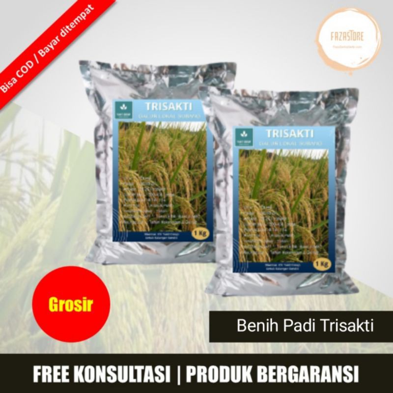 Benih Padi Trisakti 1 Kg Bibit Padi Genjah