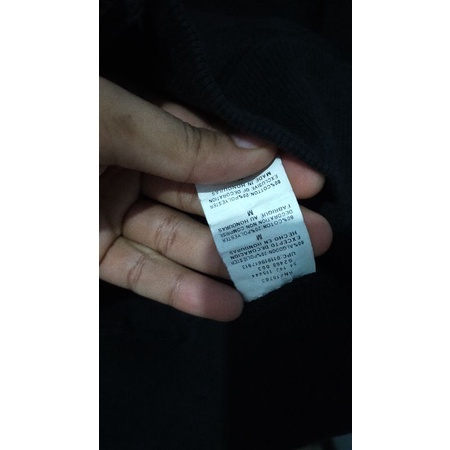 zip hoodie champion original