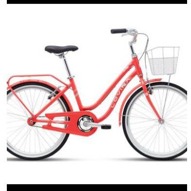 sepeda mini polygon Lovina 24,inch single speed