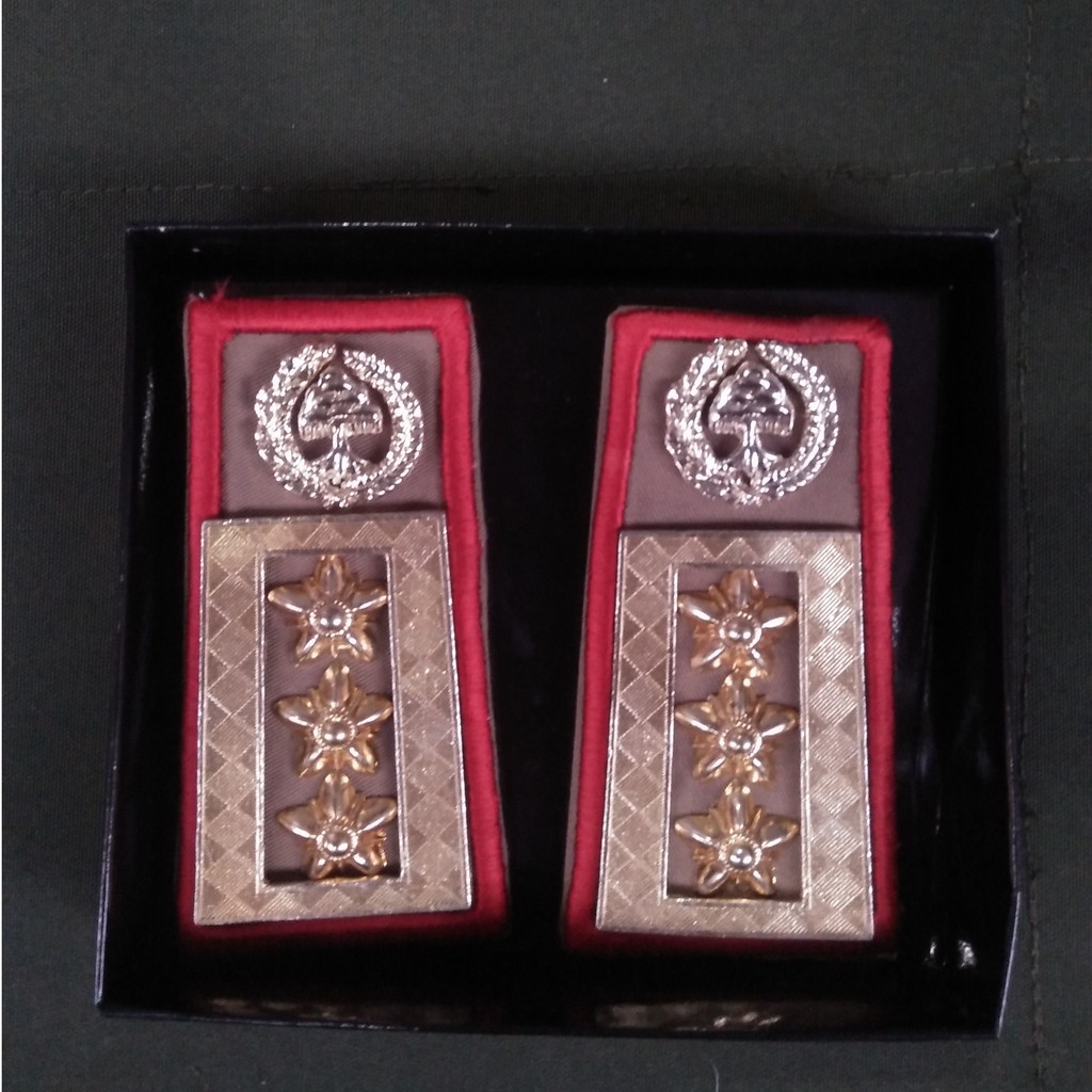 Tanda Pangkat ASN Gol 4D