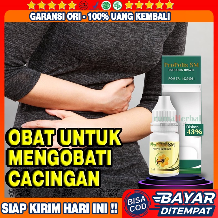 Obat Cacing perut, Cacing Usus, Cacing Kremi, Cacingan Anak Dewasa