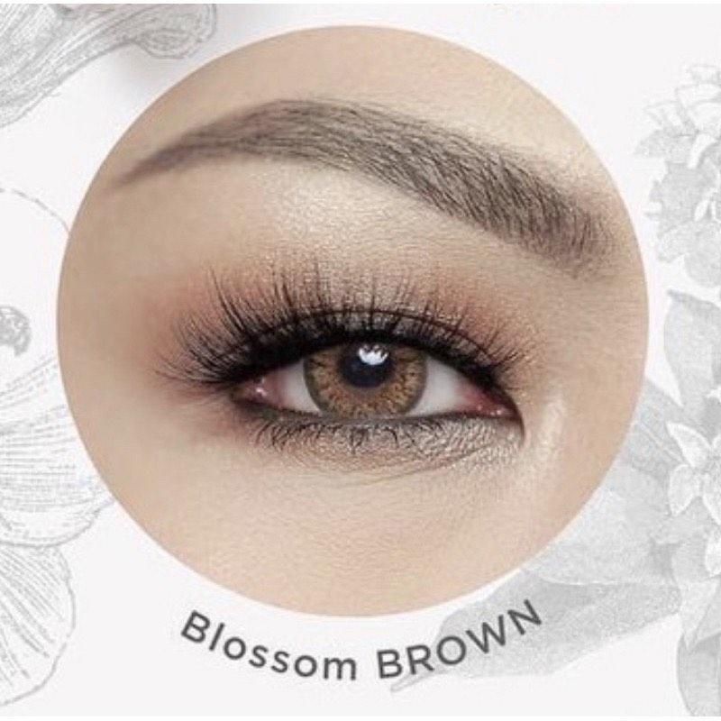 SOFTLENS BLOOM BY EYELOVIN (PER 1 BOTOL / SETENGAH PASANG)