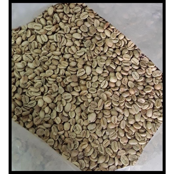

DISKON TERBATAS !!! KOPI BIJI/GREEN BEAN ARABIKA PAPUA WAMENA . FULL WASH TERLARIS
