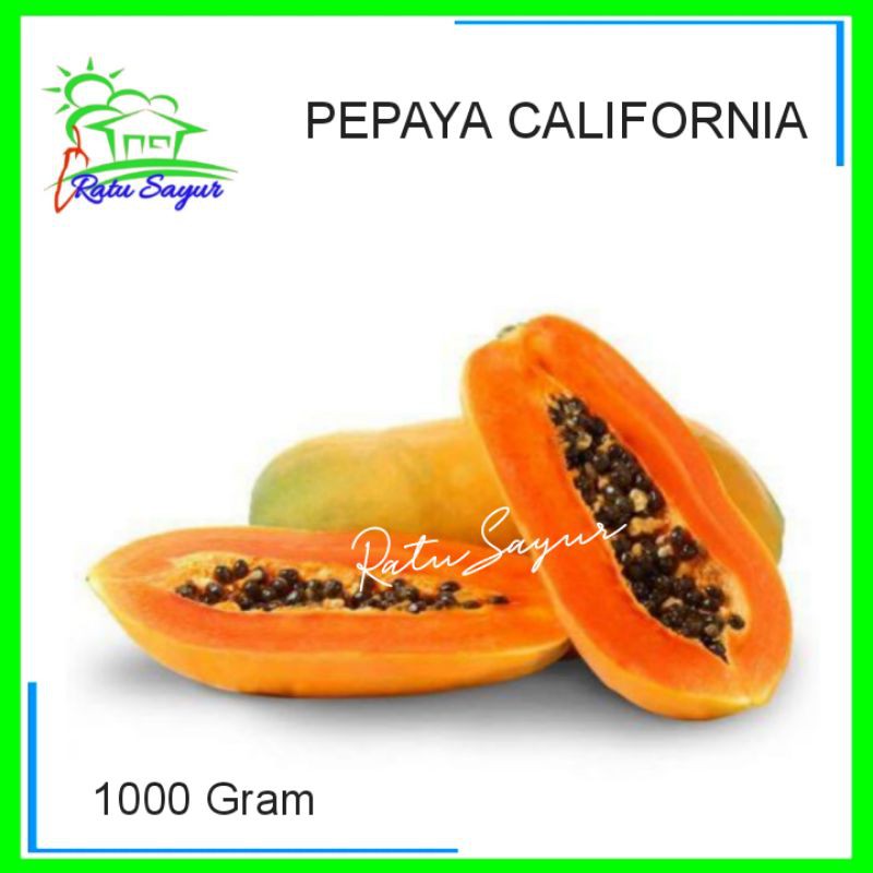 

PEPAYA CALIFORNIA/ratusayur.id