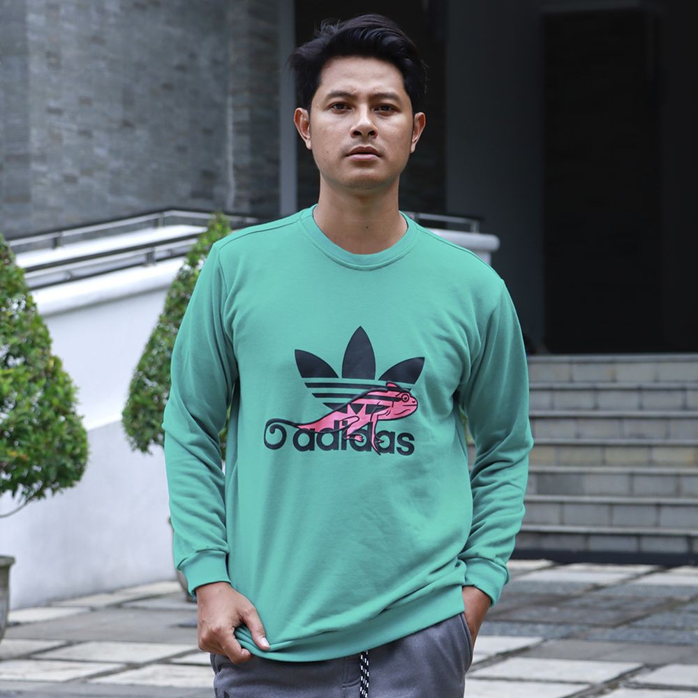 adidas chameleon sweatshirt