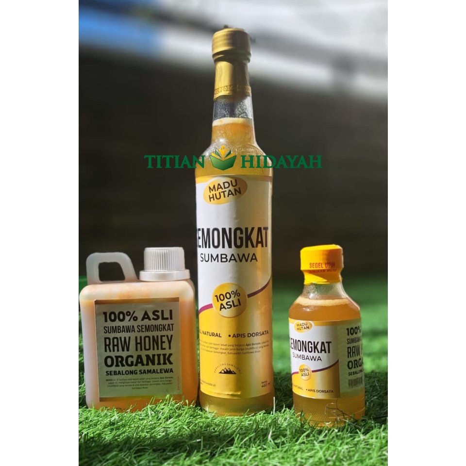 

Madu Hutan Sumbawa (Semongkat)