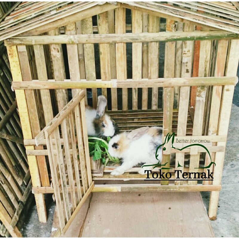 Kandang kelinci bambu