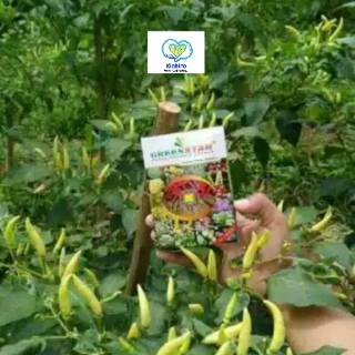 Green star Pupuk Tanaman Nasa Natural Nusantara isi 3 sachet ( tanpa dos ) #2