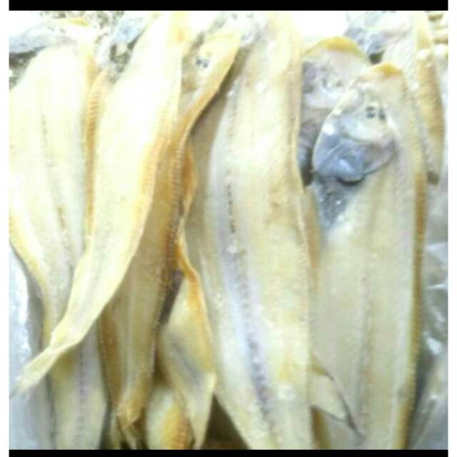 

Ikan Lidah 250gr