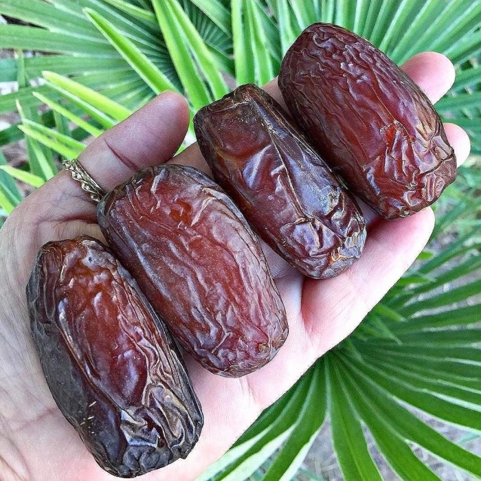 

Kurma Medjool California 1 Kg Premium Dates