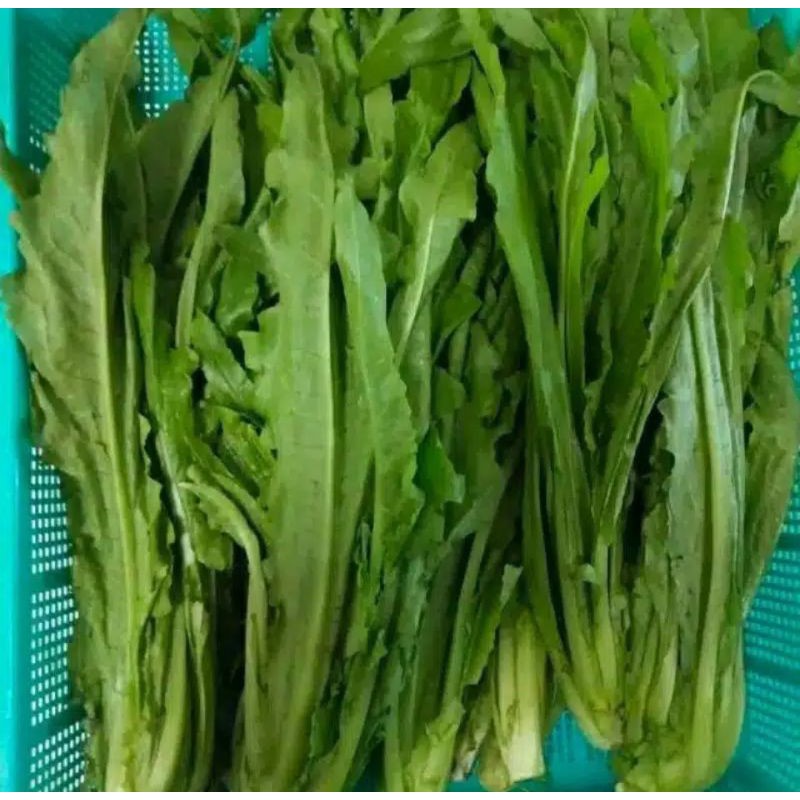 

Kumak / Kumek / Fumak / Siomak wangi Pandan per 250gram