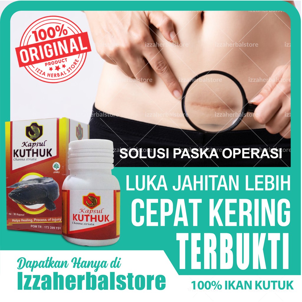 KUTHUK KAPSUL KUTUK PREMIUM Plus Ikan Kutuk Gabus/Albumin untuk Pemulihan Luka Jahitan Operasi