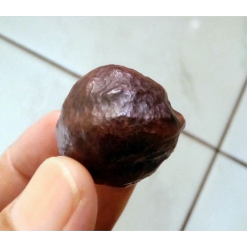 Kemiri Adu Muncang Adu Anak Jalim Arum Matang