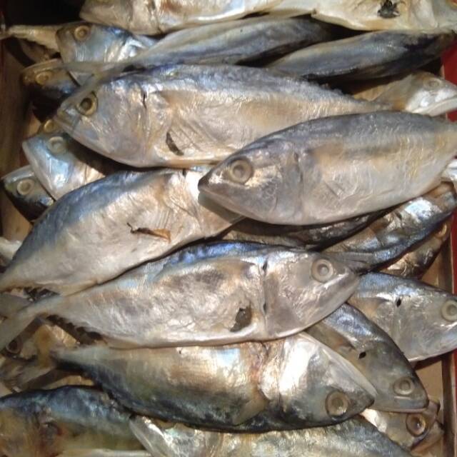

Peda putih / ikan peda putih 500 gram