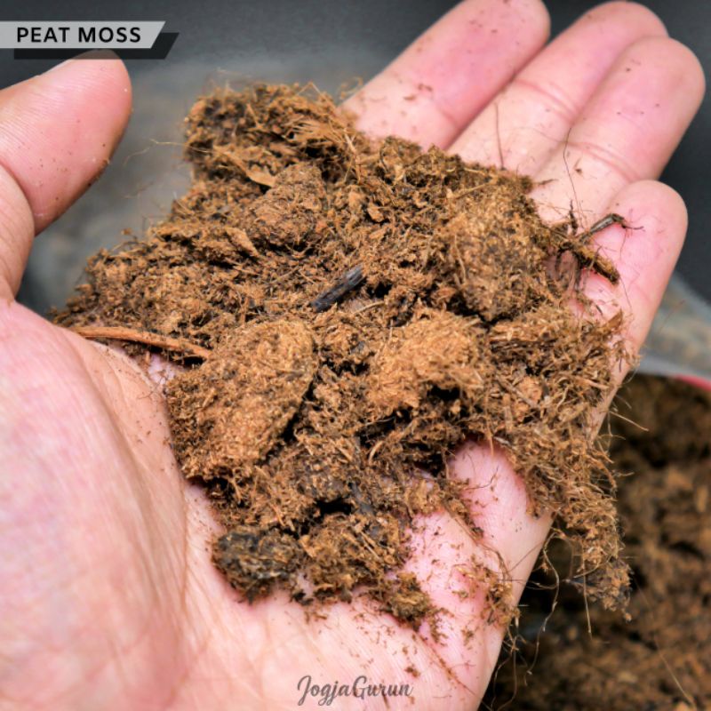 Peat Moss Base Substrate - Klasmann Peatmoss Media Tanam