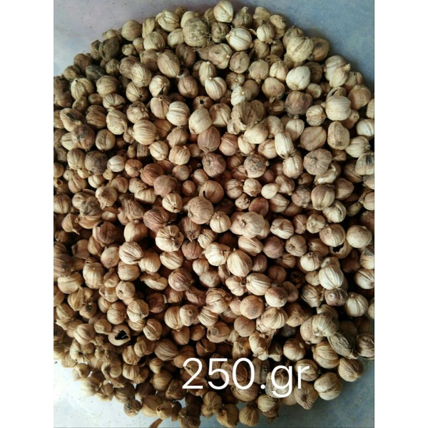 

kapulaga jawa organik 250 g