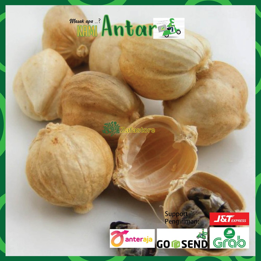 

Kapulaga Bumbu dapur Fresh
