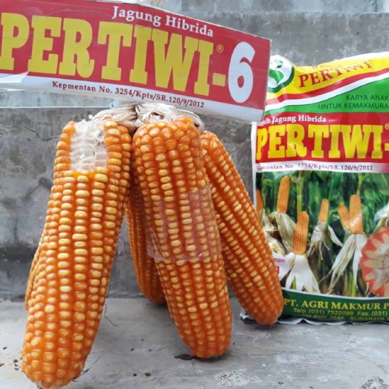 Jual Benih Jagung Pertiwi 6 1kg Hibrida F1 Shopee Indonesia 9772