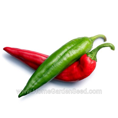 Benih Cabai Big Jim - Hot Pepper - Home Garden Seed