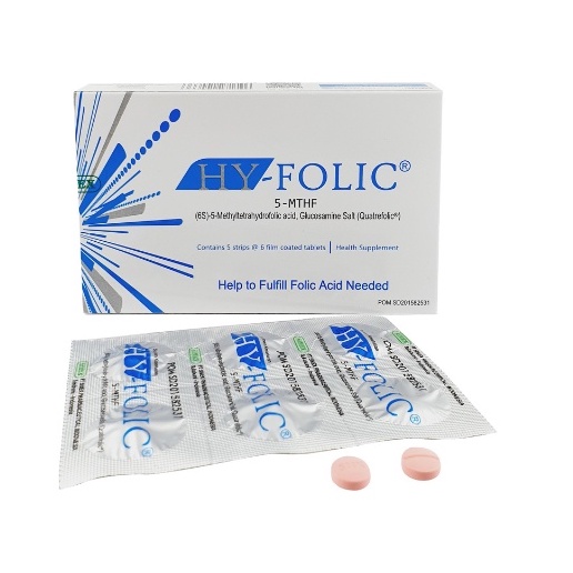 HY-FOLIC TABLET ASAM FOLAT IBU HAMIL