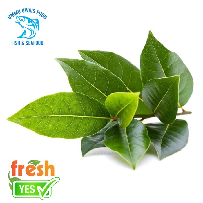 

Daun Salam Fresh - 50 Gram