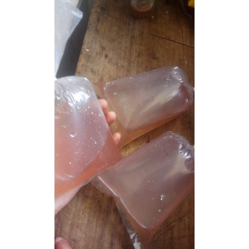 Kutu air pakan ikan cupang/hias