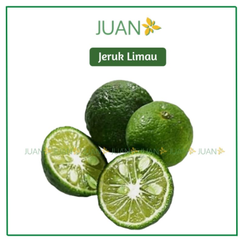 

Jeruk Limau 5 buah - Juan Freshmart