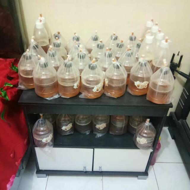 

Madu Murni Bee My Honey