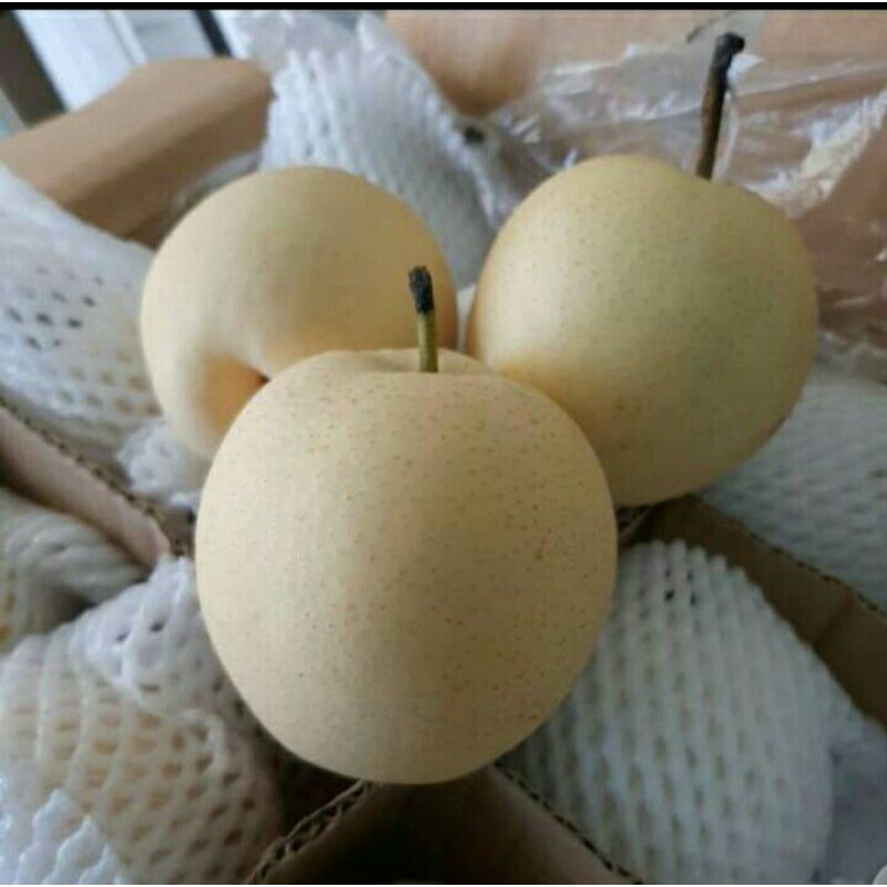 

Puri Segar Shop, Pir madu segar/buah fresh