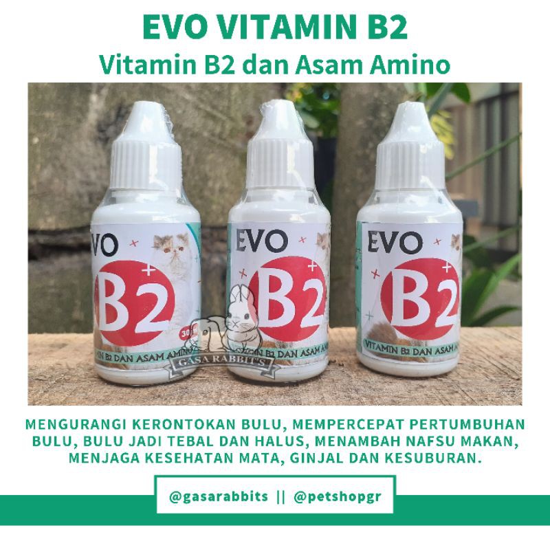 VITAMIN B2 KUCING - VITAMIN KUCING B2 - EVO B2 - EVO VITAMIN KUCING - VITAMIN B2 UNTUK KUCING