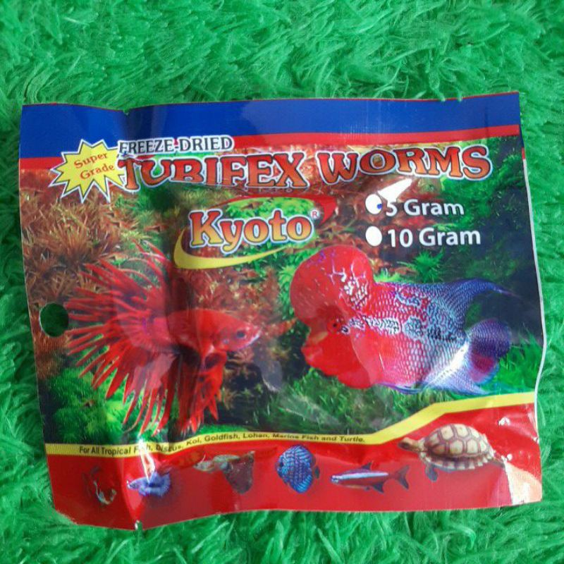 

Kyoto Cacing Sutra Kering