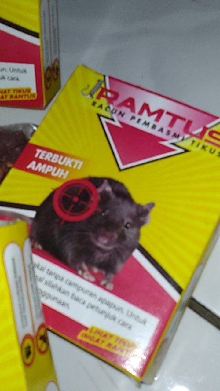 Racun Tikus Ramtus Asli Alami Mati Kering Tidak Bau Pembasmi Pengusir Tikus Super Paling Ampuh 3pack